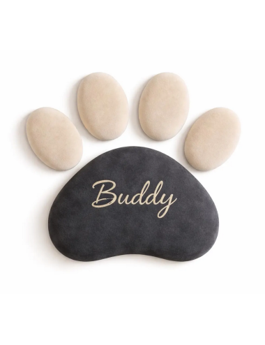 Personalized Dog or Cat Paw Wall Decor | Velvet Upholstered Pet Wall Panel | Custom Pet Name | Pet Corner Deco